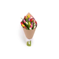 Bouquet of 25 tulips