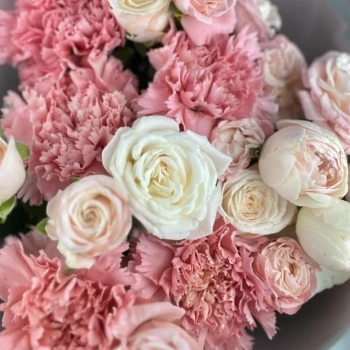 Peony bush rose with dianthus